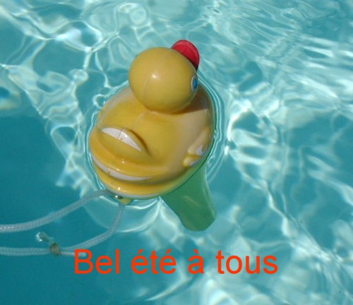 photo : kristof