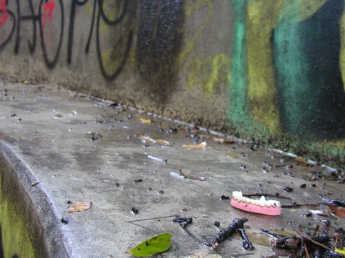 photo : kristof